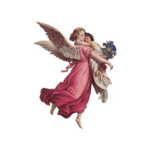 angel-light-academy_for_phone2